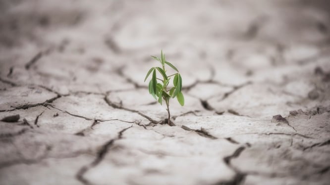 2025 – The Year of Caring