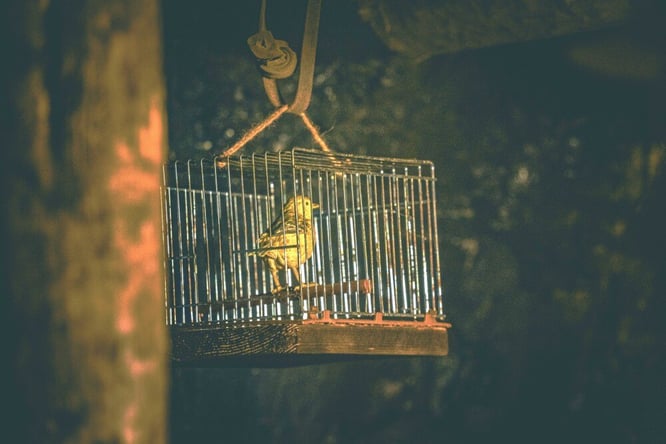 The Leadership Disconnect