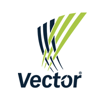 Vector Vector