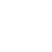 voice-icon