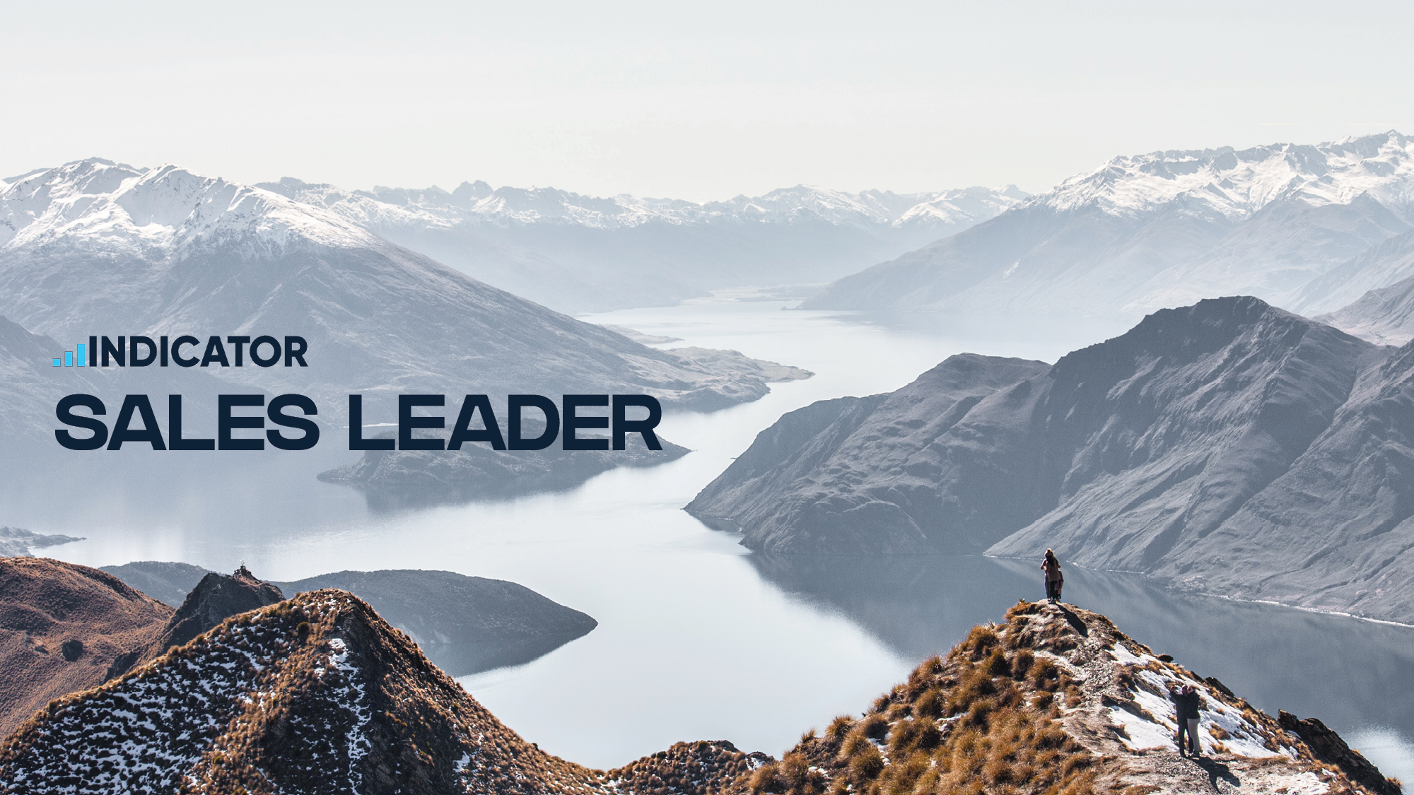 INDICATOR Sales Leader - Title Page